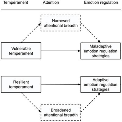 Always look on the bright side of life: Individual differences in visual attentional breadth for understanding temperament and emotion regulation in adolescents